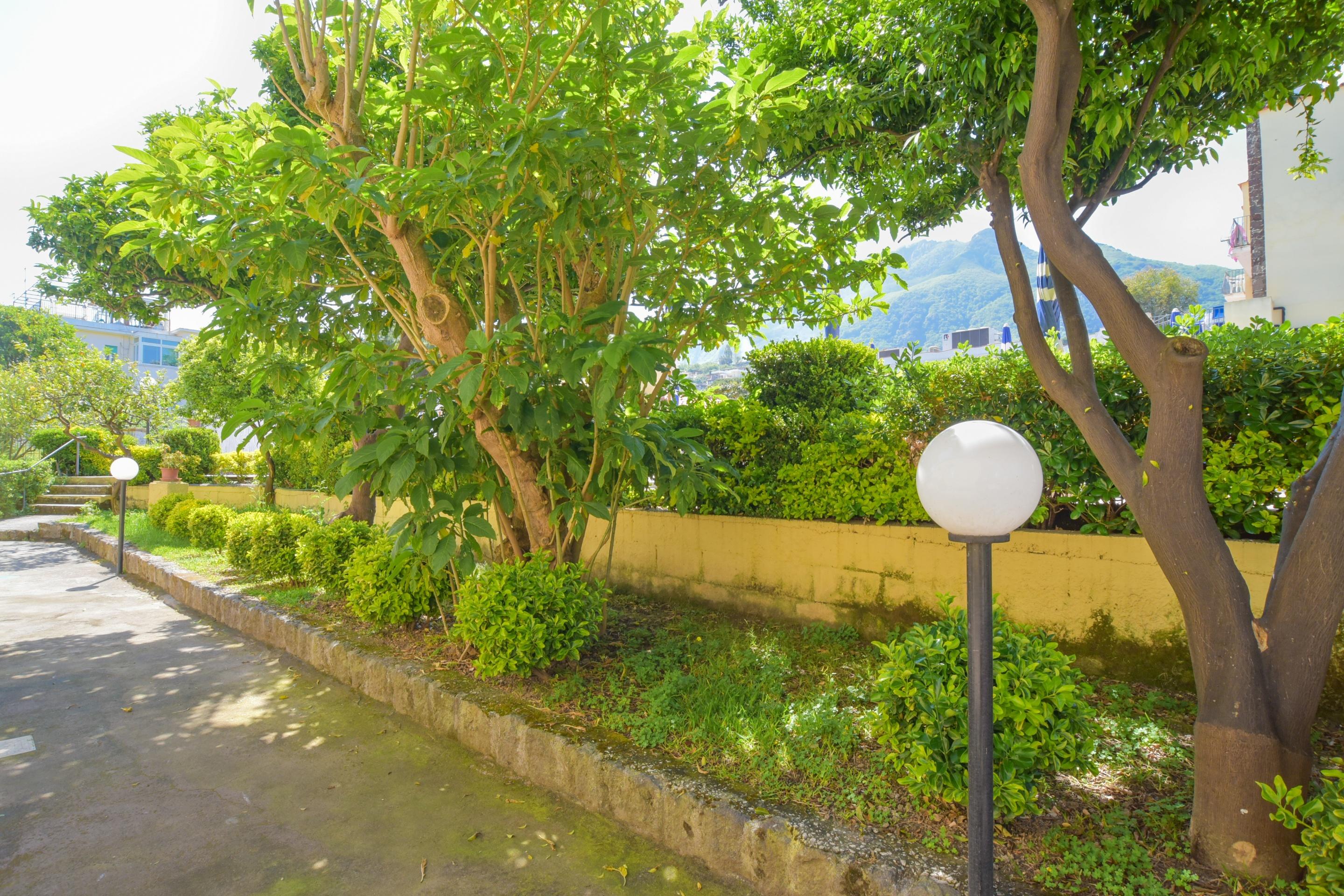 Hotel Terme Principe Lacco Ameno  Exterior photo